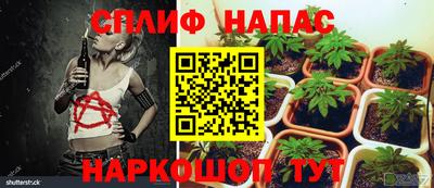 ешки Жуковский