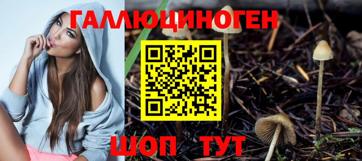 Псилоцибиновые грибы мицелий Малгобек