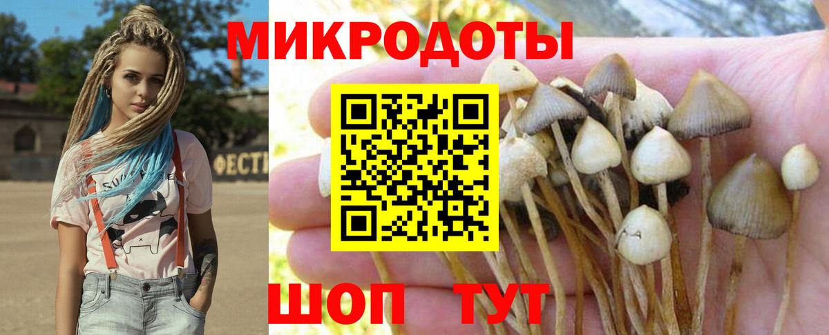 Галлюциногенные грибы GOLDEN TEACHER  Вход с VPN  Малгобек  Галлюциногенные грибы прущие грибы 
